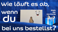 quantenstein online bestellen